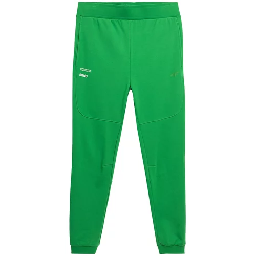 4f Športne hlače travnato zelena / bela