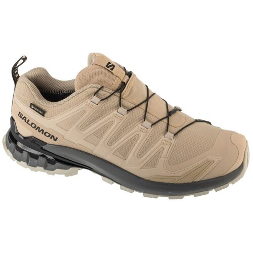 Salomon XA Pro 3D V9 GTX Cipele Slike