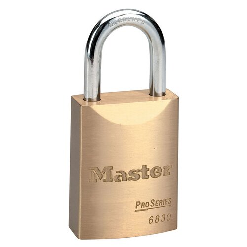 Dahua masterlock 6830 Cene