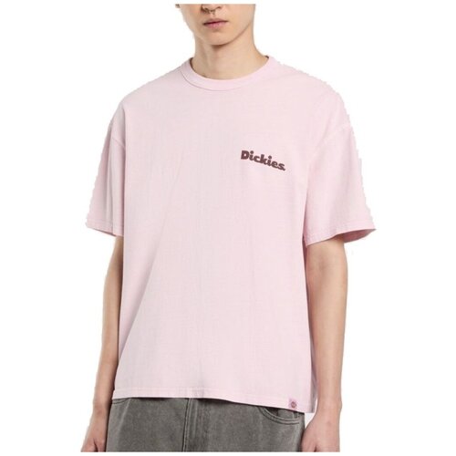 Dickies Majice s kratkimi rokavi SLAYDEN GD TEE Rožnata Slike