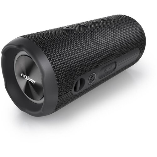Niceboy Nexus - LED bežični zvučnik sa mikrofonom 26W/4000 mAh IPX6 crna Cene