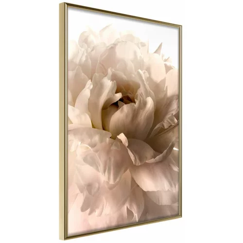  Poster - Bloom 20x30