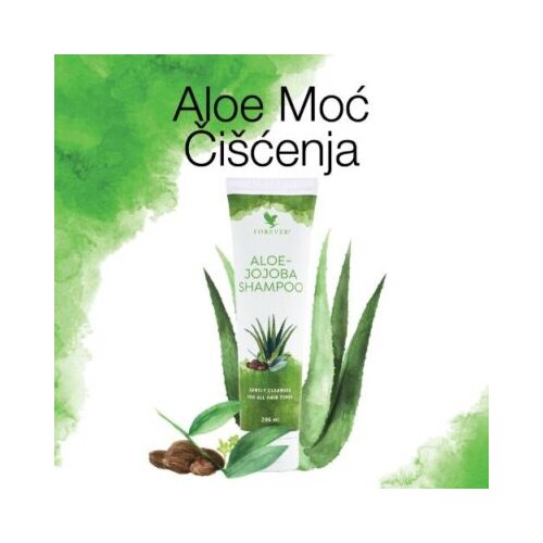 Aloe Jojoba Shampoo Cene