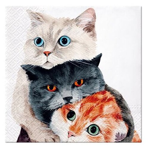  Decoupage salvete - Better Together - 1kom KORISTI SE Slike