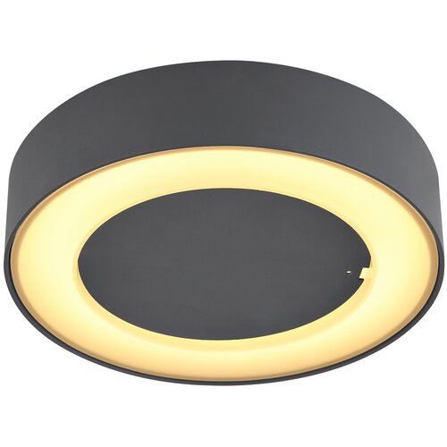 Globo 32136D - LED spolja&amp;scaron;nje plafonsko svetlo SURA LED/12W/230V IP54 Slike
