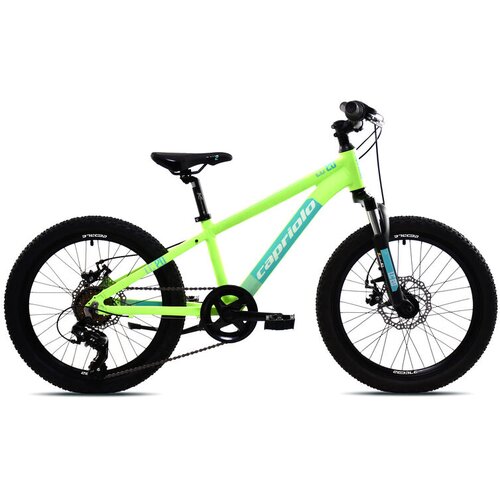 Capriolo bicikl za decu lc 200, 20"/11", zeleni Cene