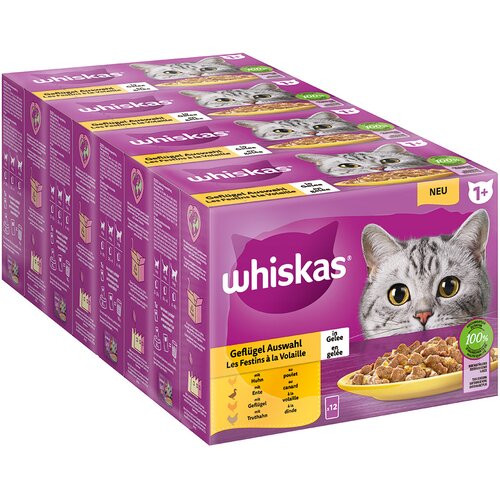 MEGA pakiranje Whiskas 1+ Adult vrečke 48 x 85 g - Perutninski izbor v želeju Cijene