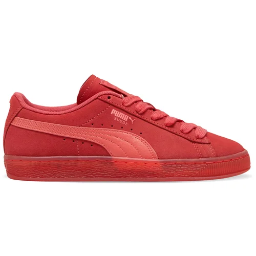 Puma Suede Classic Translucent Women