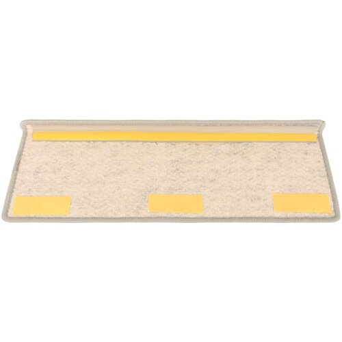  Samoljepljivi otirači za stepenice 15 kom 65x21x4 cm srebrni Slike