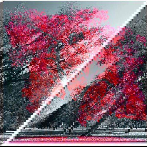 Pintdecor Zidni ukras Big red tree Cene
