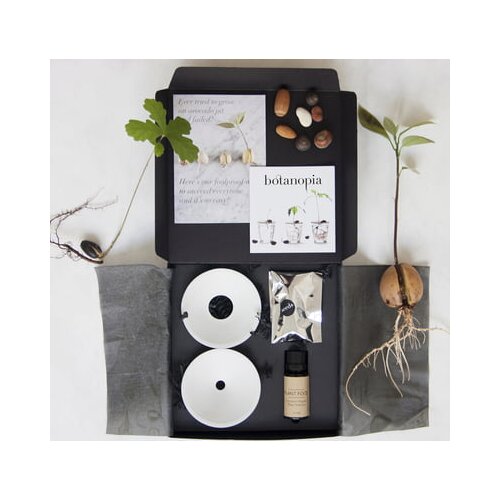 Botanopia Darilni set "Deluxe kalitev in razmnoževanje" Cene