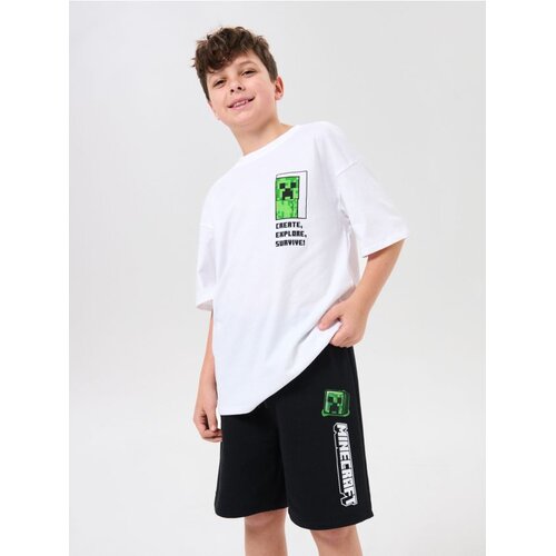 Sinsay Sportske kratke hlače Minecraft Cijene