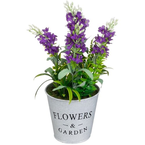Casa Selecci&amp;oacute;n Umetna sivka (vi&amp;scaron;ina 30 cm) Lavender &amp;ndash; Slike