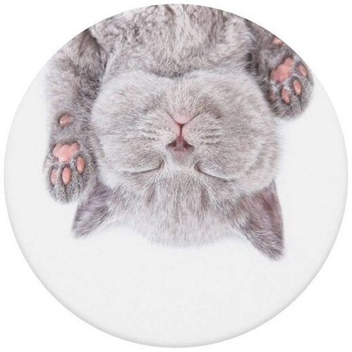 Popsockets držalo / stojalo PopGrip Cat Nap Cene