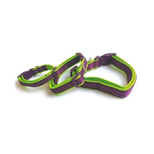 M Pets Ogrlica za pse Comfort S, Ljubičasto-zelena Cene
