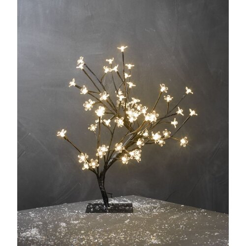 Olimp Sport Svetleće drvo Boni Cene