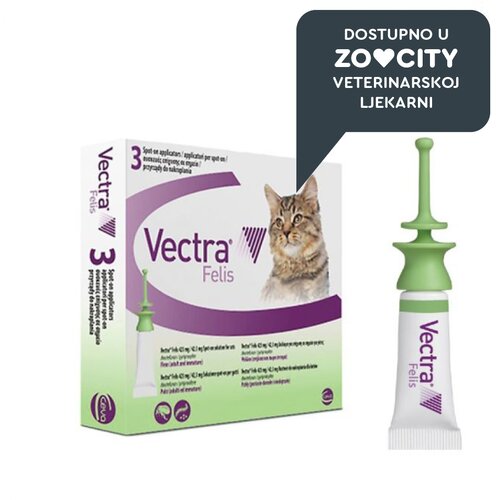 Vectra CEV felis, 0,9 mL Cene