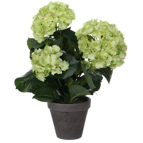  Umjetna biljka Hortenzija (Visina: 40 cm, Zelene boje, Plastika) Cijene