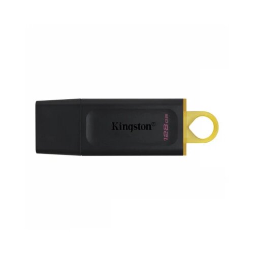 Kingston USB DTKN 128 exodia crna Cene