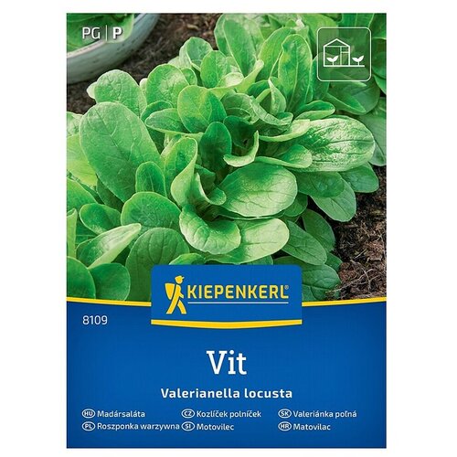 KIEPENKERL Zelenjavna semena Motovilec Vit (Valerianella locusta, Čas žetve: Januar) Cene