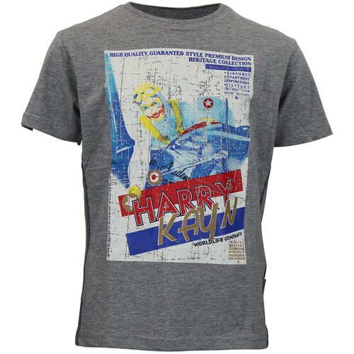 Harry Kayn Majice s kratkimi rokavi T-shirt garçon ECETUP Siva Cene