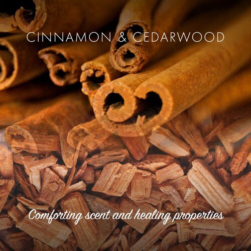 Friendly Soap Natural Soap Cinnamon prirodni sapun 7x95 g Slike