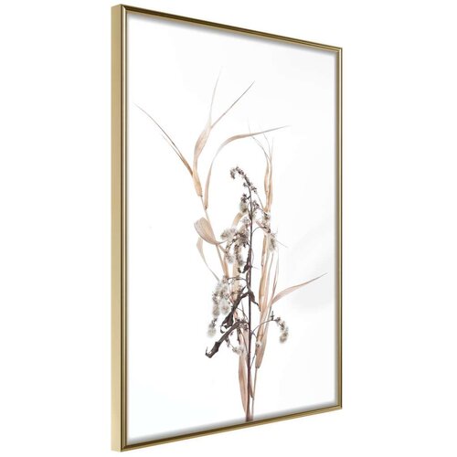  Poster - Found on the Field 30x45 Cijene