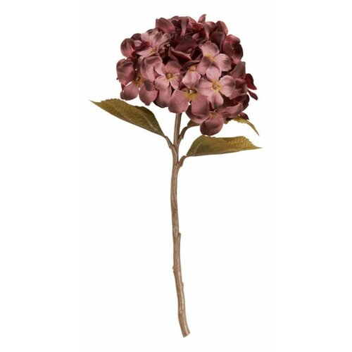 Veštački cvet Stian V36cm bordo ( 4912157 ) Slike