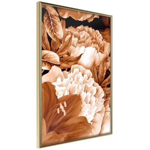  Poster - Peonies in Sepia 40x60 Slike