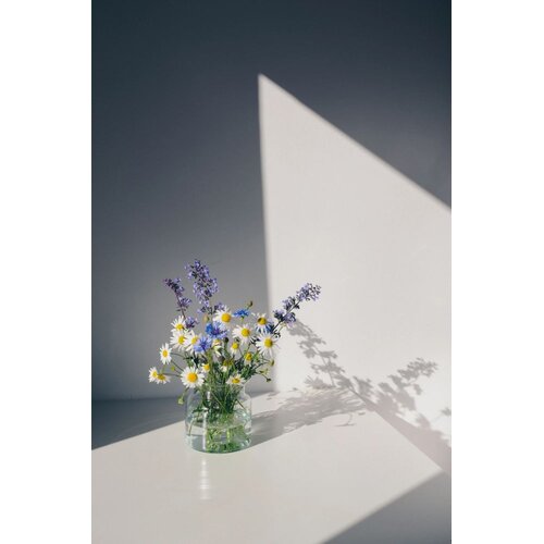 Venture Home poster Flowers 30 &amp;times; 40 cm, bijeli Slike