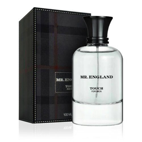 Fragrance World Mr. England Touch for Men EDP 100 ml Cijene