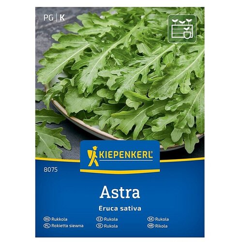KIEPENKERL Zelenjavna semena Rukola (Eruca sativa, Čas žetve: April) Cene