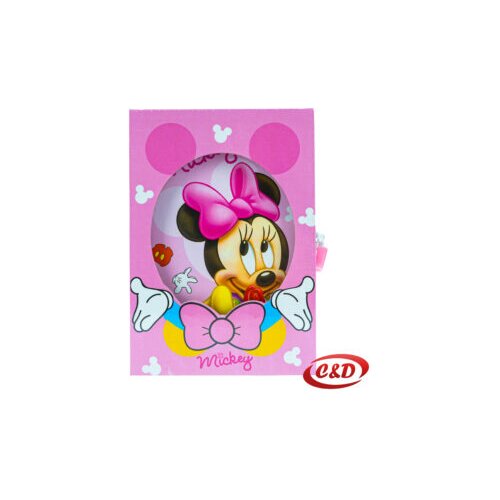  Notes A5 Minnie Mouse Cijene