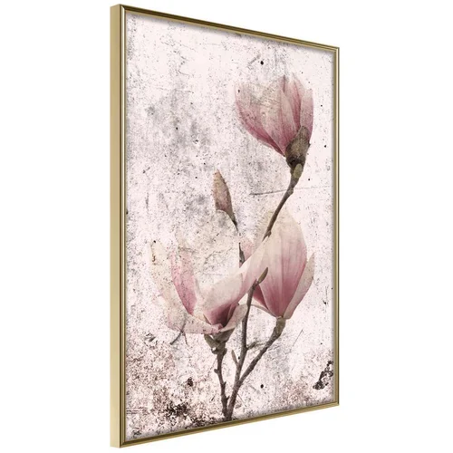  Poster - Queen of Spring Flowers II 20x30