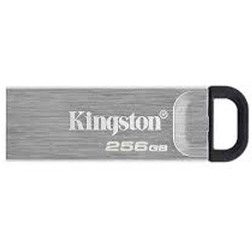 Kingston USB Memorija Kyson 256GB USB 3.2 Cijene