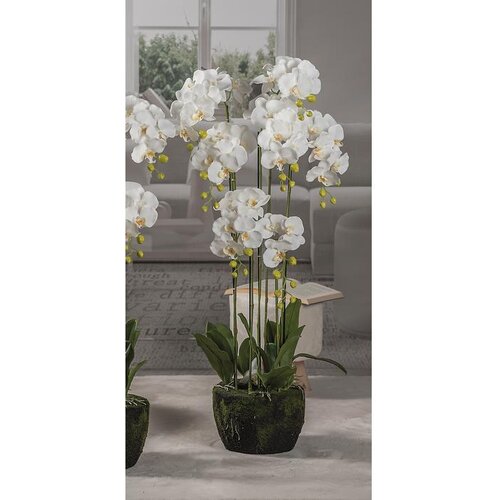  ORHIDEJA 110CM 7 GRANA 57716 Slike