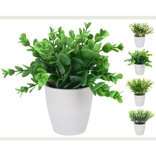  CVIJEĆE U SAKSIJI 16CM Cijene