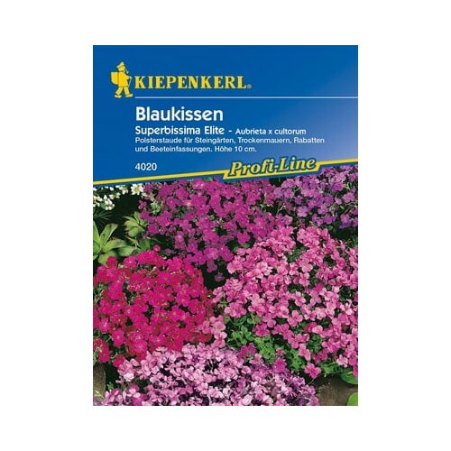 KIEPENKERL Aubrieta "Superbissima Elite" Cene