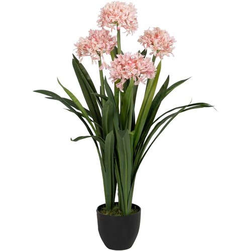 Ixia Umetna rastlina (vi&amp;scaron;ina 100 cm) Hyacinth &amp;ndash; Slike