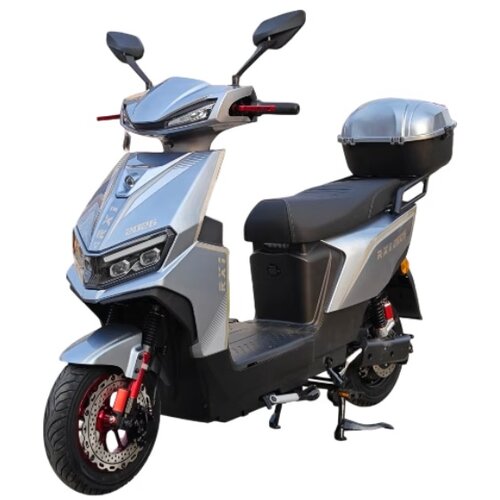 Csm RX1 2026 siva Cene