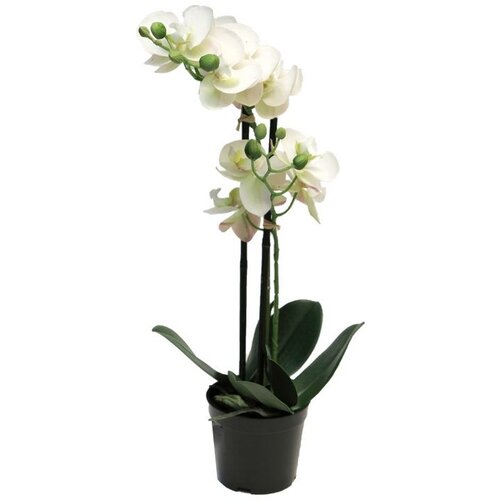  Cvet u saksiji ORCHID 50cm 51344-0 - White - NNT Cene