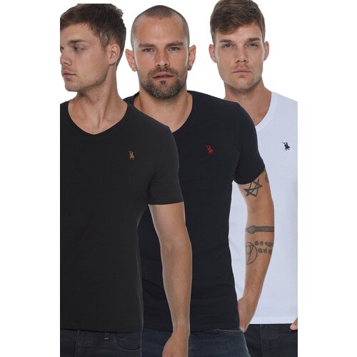 Dewberry TRIPLE SET T8568 V-NECK MEN&amp;#039;S T-SHIRT-BLACK-WHITE-NAVY BLUE Slike