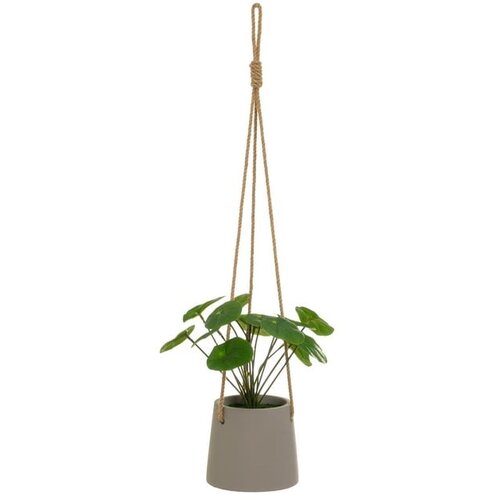 Casa Selección Umetna rastlina (višina 24 cm) Pilea – Cene