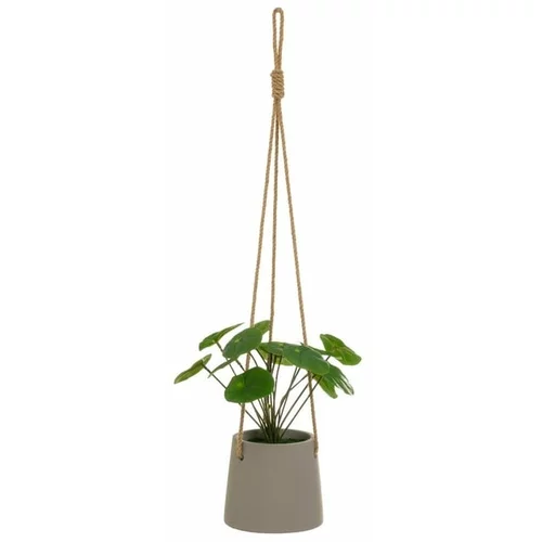 Casa Selección Umjetna biljka (visina 24 cm) Pilea –