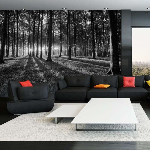  Tapeta - The Light in the Forest 350x245 Slike