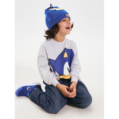 Sinsay Bluza s okruglim izrezom s printom Sonic the Hedgehog Slike