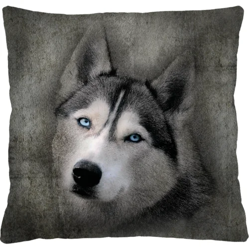 Bertoni Home Unisex's Square Pillow Husky