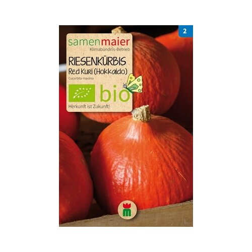 Samen Maier Bio buča, velikan, rdeči Kuri "Hokkaido" Cene