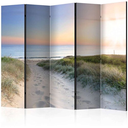  Paravan u 5 dijelova - Morning walk on the beach II [Room Dividers] 225x172 Slike