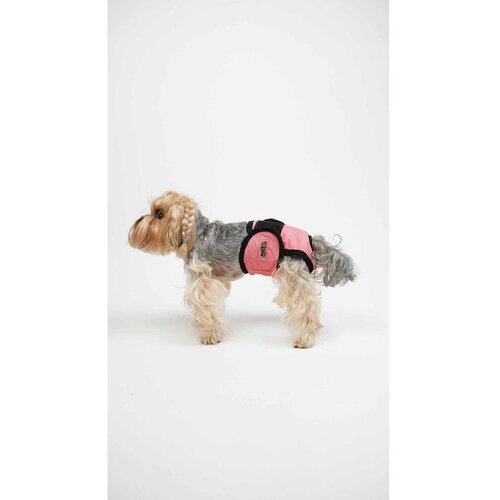 Paws &amp; Whiskers Kulot - Pink Pink Dog's Panties Cene